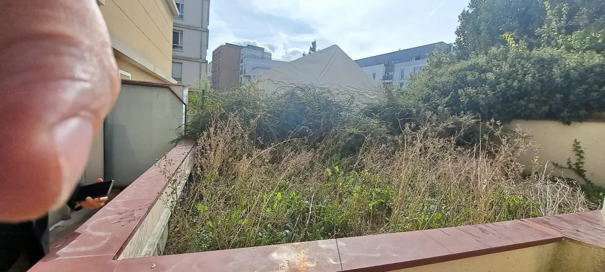 Terrasse envahie par les mauvaises herbes, végétation sauvage, sol en terre, espace inutilisable